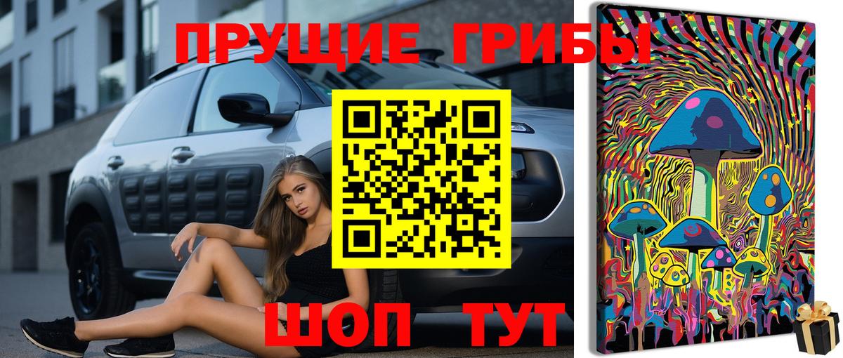 Галлюциногенные грибы прущие грибы  Вход с VPN  Галлюциногенные грибы Magic Shrooms  Губкин 