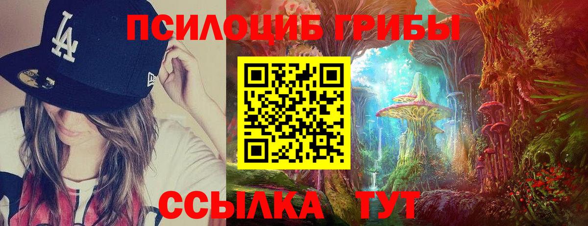 Галлюциногенные грибы GOLDEN TEACHER Губкин